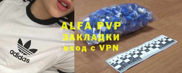 прущие грибы Медвежьегорск