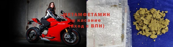 прущие грибы Медвежьегорск