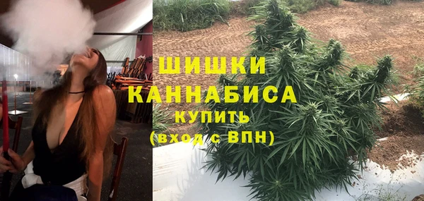 прущие грибы Медвежьегорск