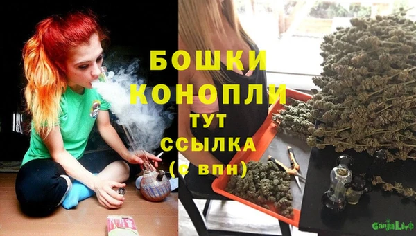 трава Кострома