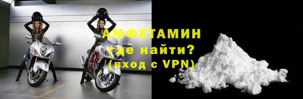 прущие грибы Медвежьегорск