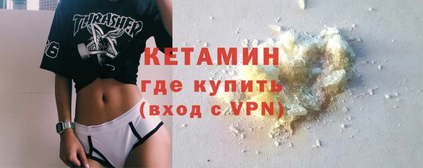 прущие грибы Медвежьегорск