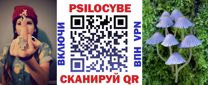 Галлюциногенные грибы Psilocybine cubensis  Купить где  Лосино-Петровский 